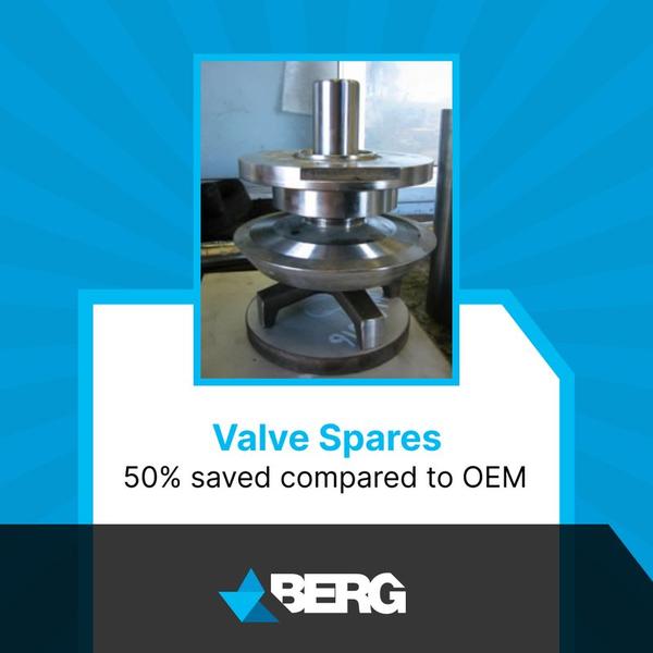 Berg Engineering - Valve Spares